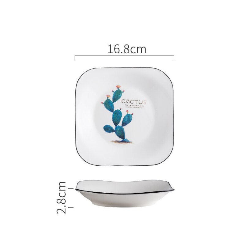 Vierkant porseleinen bord, cactus, dessertbord, broodbord, fruitsaladebord, scandinavisch ontbijtbord, botervloot, keukenservies: Cs