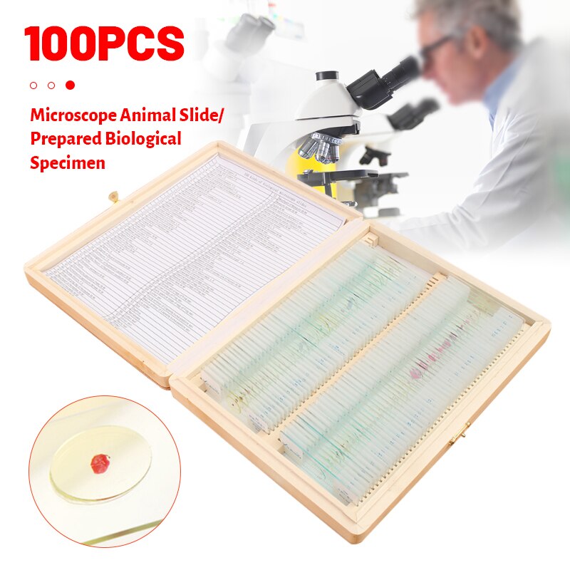 100Pcs/Set Prepared Microscope Glass Slides Sample Science Biological Specimen Education Cover Slips Portable Wood Storage Box