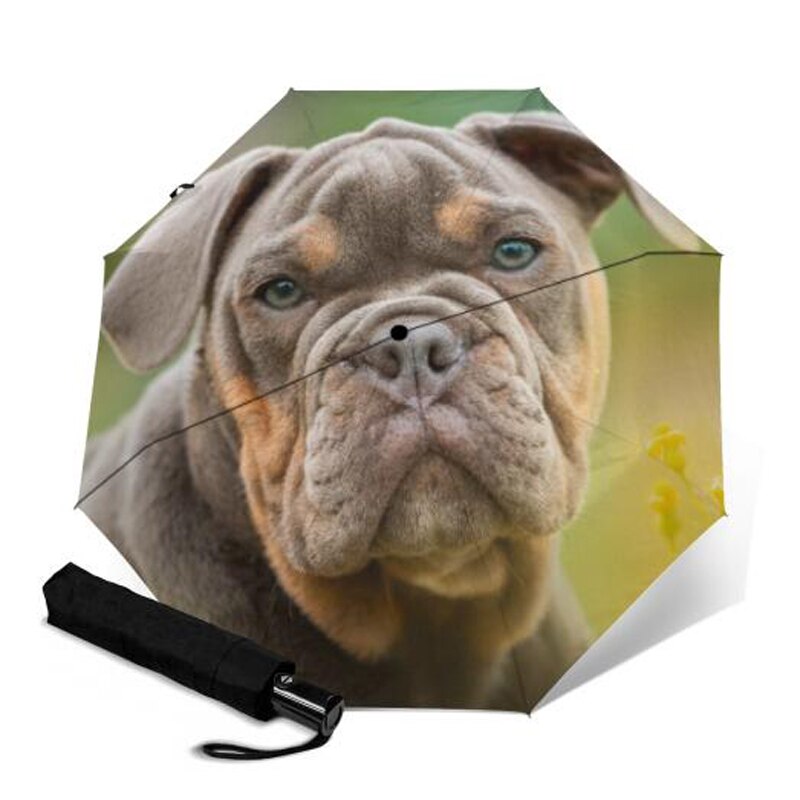 Sød fransk bulldog paraply anti-uv beskyttelse paraply trykt 3 foldende solrige regnfulde paraplyer til kvinder bærbar parasol: Ysa 1185