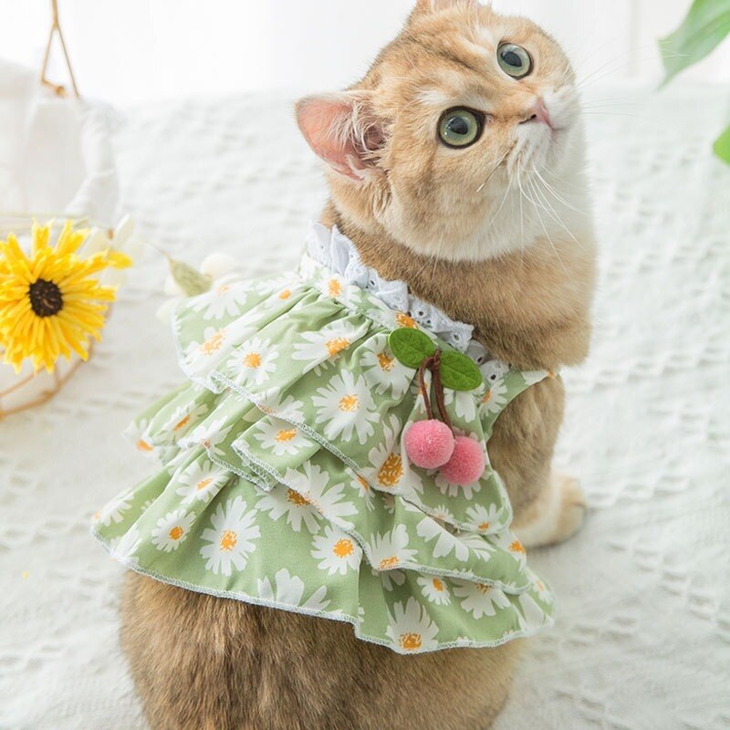 Vêtements de dessin animé pour chiens, imprimé Floral, marguerite, petite robe, Super animal de compagnie, mignon, printemps été, vert
