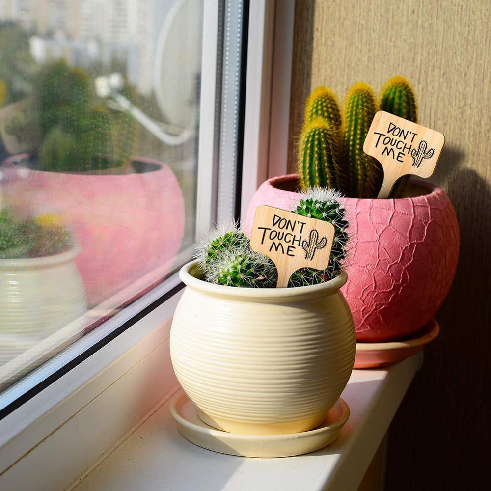 50/100pcs DIY Bamboo Plant Labels Wooden T-type Tags Garden plant label Plant Sign Tags Seed Potted Garden Markers Tools