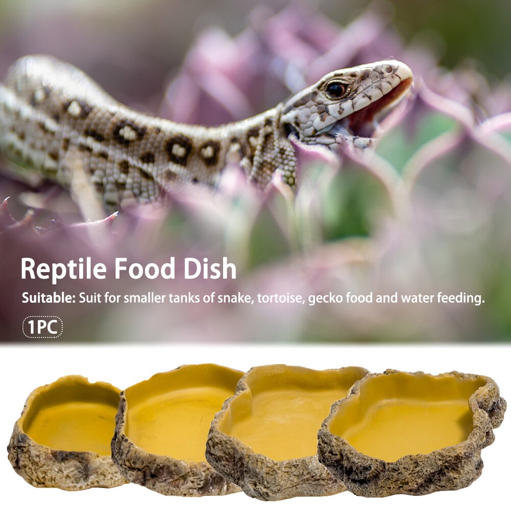 Turtle Feeder Resin Landscape Feeding Bowl Simulation Reptile Food Dish Ornament Snake Tortoise Gecko Lizard Water Amphibian