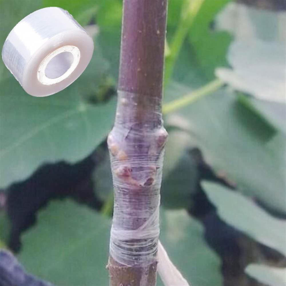 Cintas de PE de película transparente estirables para reparación de plantas ecológicas, cinta para Injerto de jardín, cinta bio-degradable Rural para plantones de árboles en casa