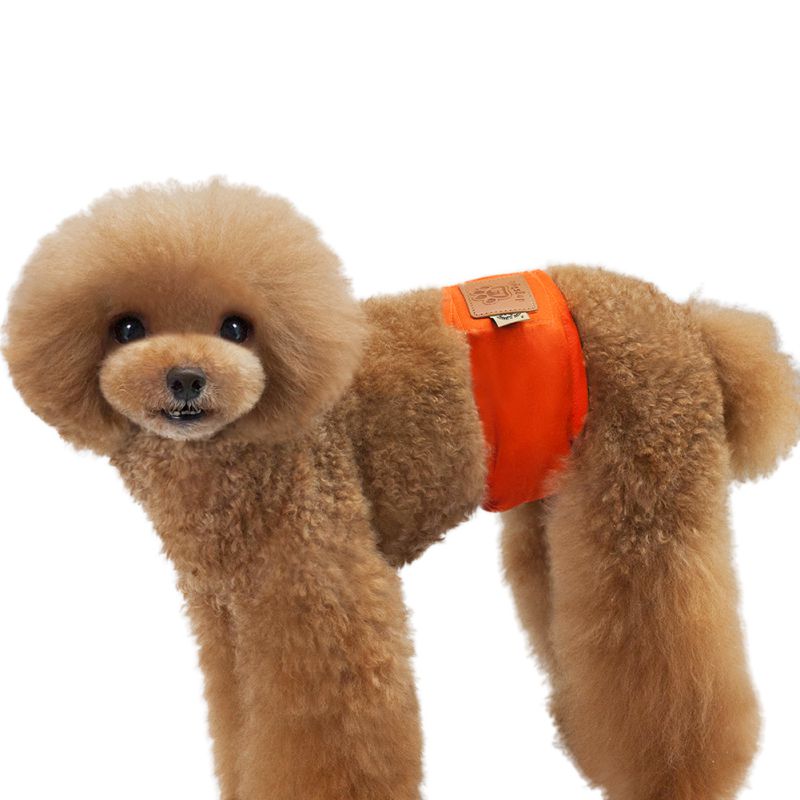 Solid Pet Hond Kat Katoen Broek Luiers Opgeven Verschillende Soorten Huisdieren Fysiologische Broek 4 Kleuren SML XL: Orange / L