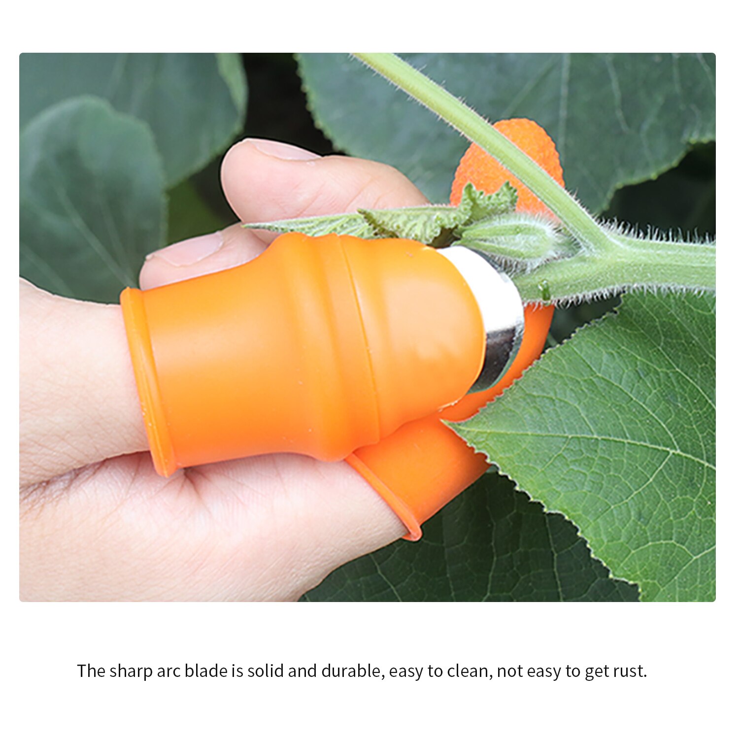 Dito di Gomma del silicone pollice taglierina Separato Culla per la Raccolta di verzura Fragole Uva Raccolta Dispositivo per il Giardino di Raccolta