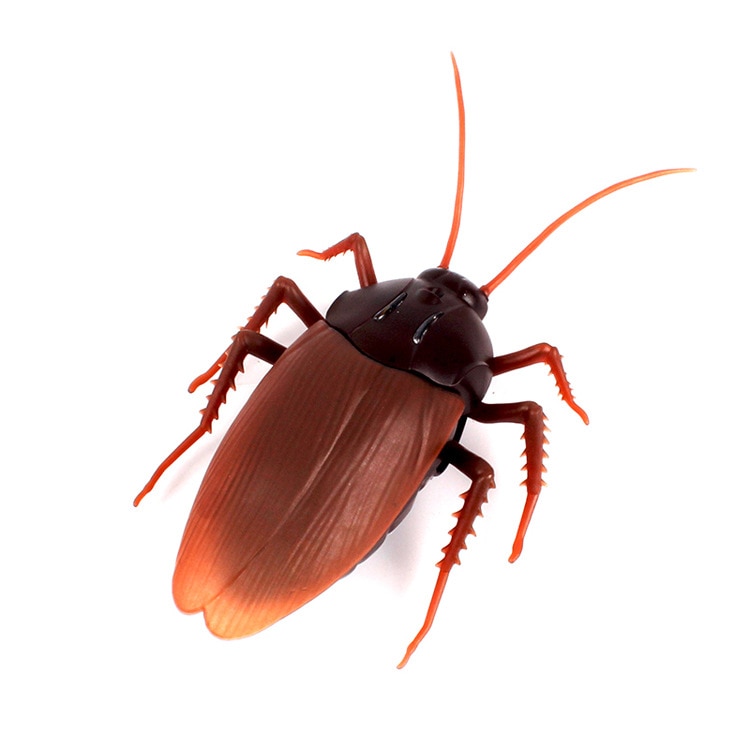 Remote Control Cockroach Toy Infrared Electric Simulation Insect Toy Prank Insects Joke Scary Trick Bugs for Adult