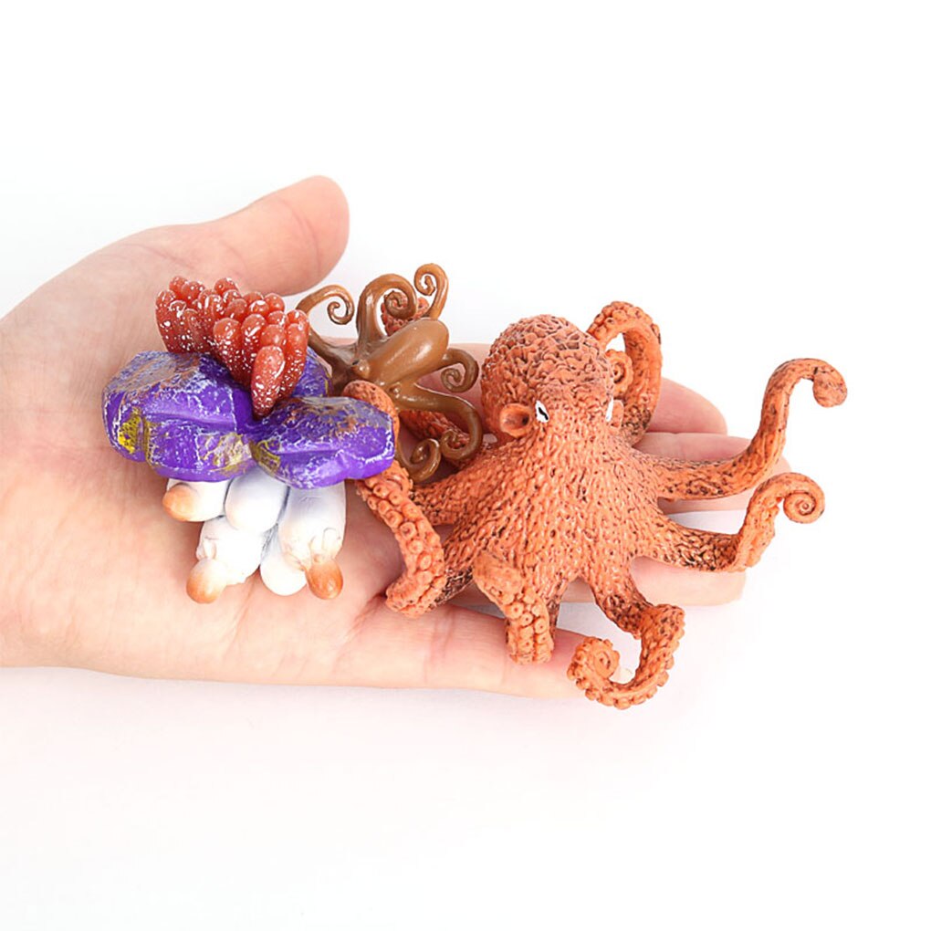 1 Set Life Cycle Kit Simulated Growing Model Early Educational Lovely Displaying Prop for Children Baby