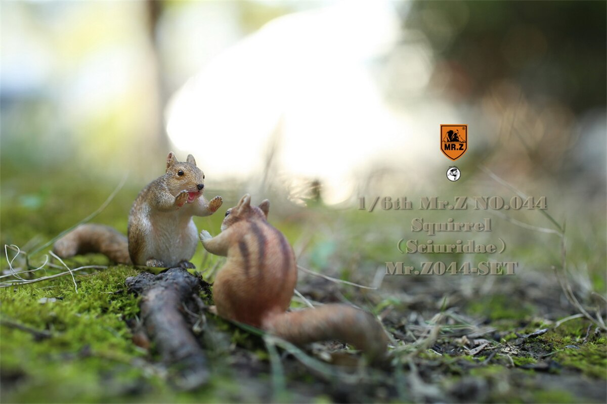 Mr.Z Studio 1:6 3Pcs Squirrel Pet Figure Sciuridae Animal Collector Model Toy Kid Resin Ornaments Healing Small Jewelry