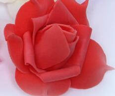 Diy bryllup rose blomst 10 stk 1pc kunstig rose blomst bryllup brudebuket pe skum diy rose blomst: 1pc- røde