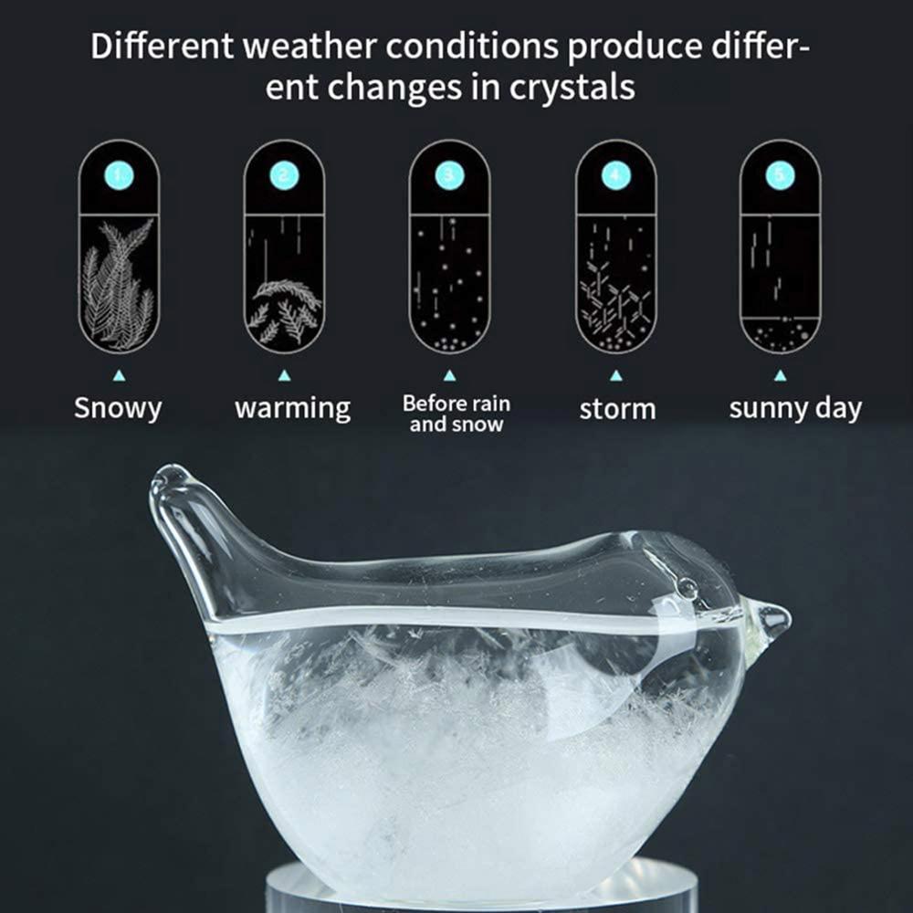 Desktop Droplet Storm Glas Fles Weersverwachting Voorspeller Monitor Barometer Met Houten Basis Voor Home Decor #15: B