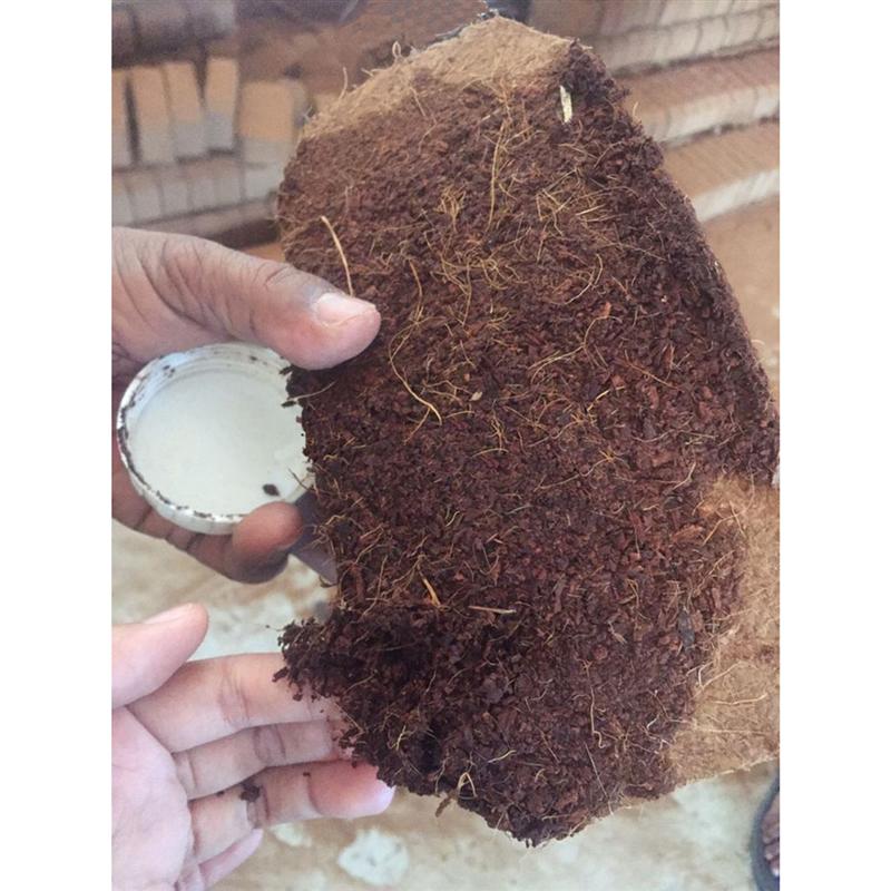 Bestoyard kokosfiber jord direkte plante frø startere bælg kit til plantning af urter, blomster og grøntsager