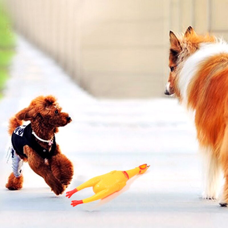 Rubber Chicken Dog Toy dogs pet chicken dog chew Vent toy Mystery Screaming chicken pets toys Dog Play Tooth Toy