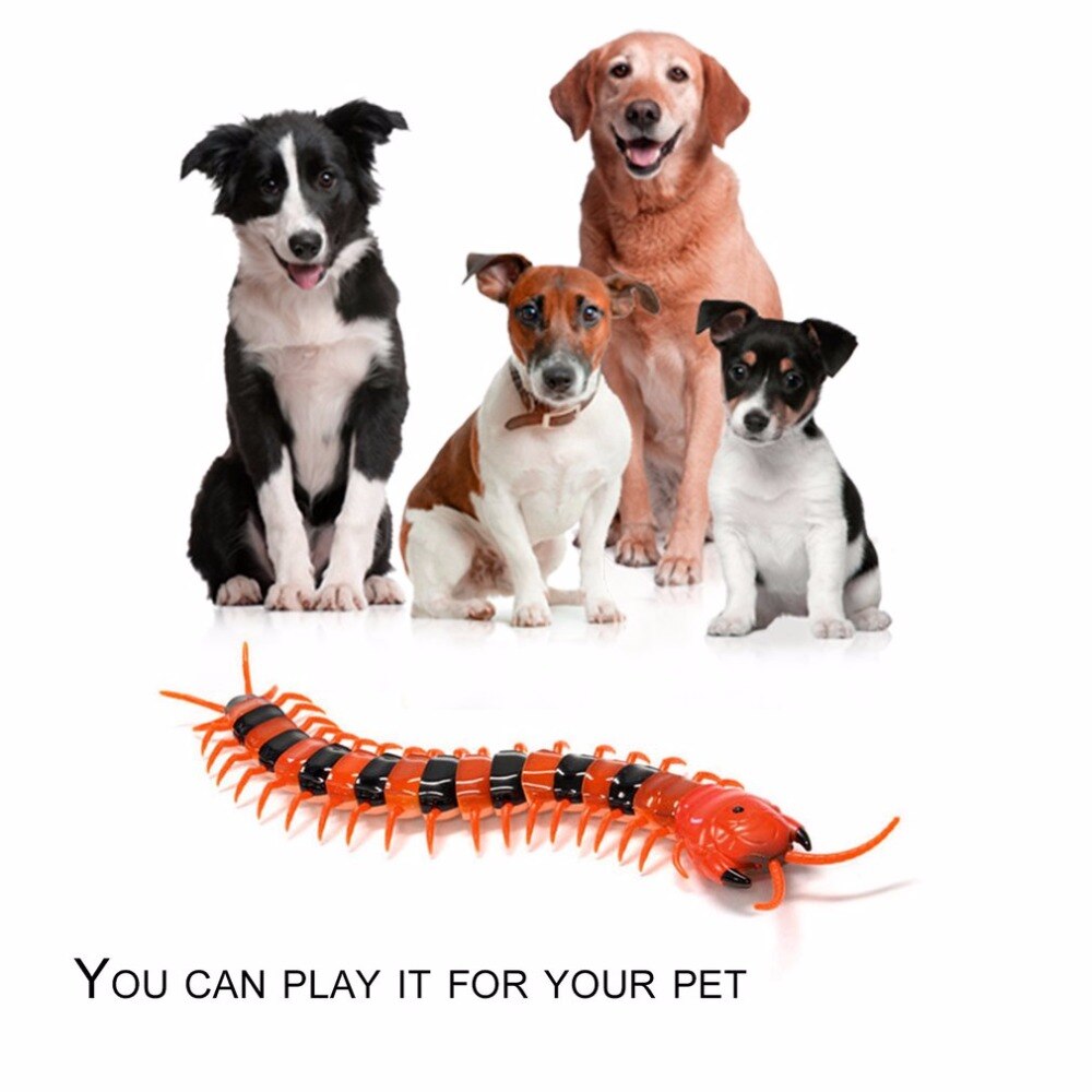 NEUE Elektrische Infrarot RC Tausendfüßler Simulation Insekten Fernbedienung Tausendfüßler Wiederaufladbare Elektrische Heikles Lustige Katze Hund Spielzeug