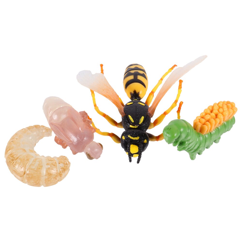 1 Set/4Pcs Simulatie Insect Evolution Model Wesp Groei Cyclus: Default Title