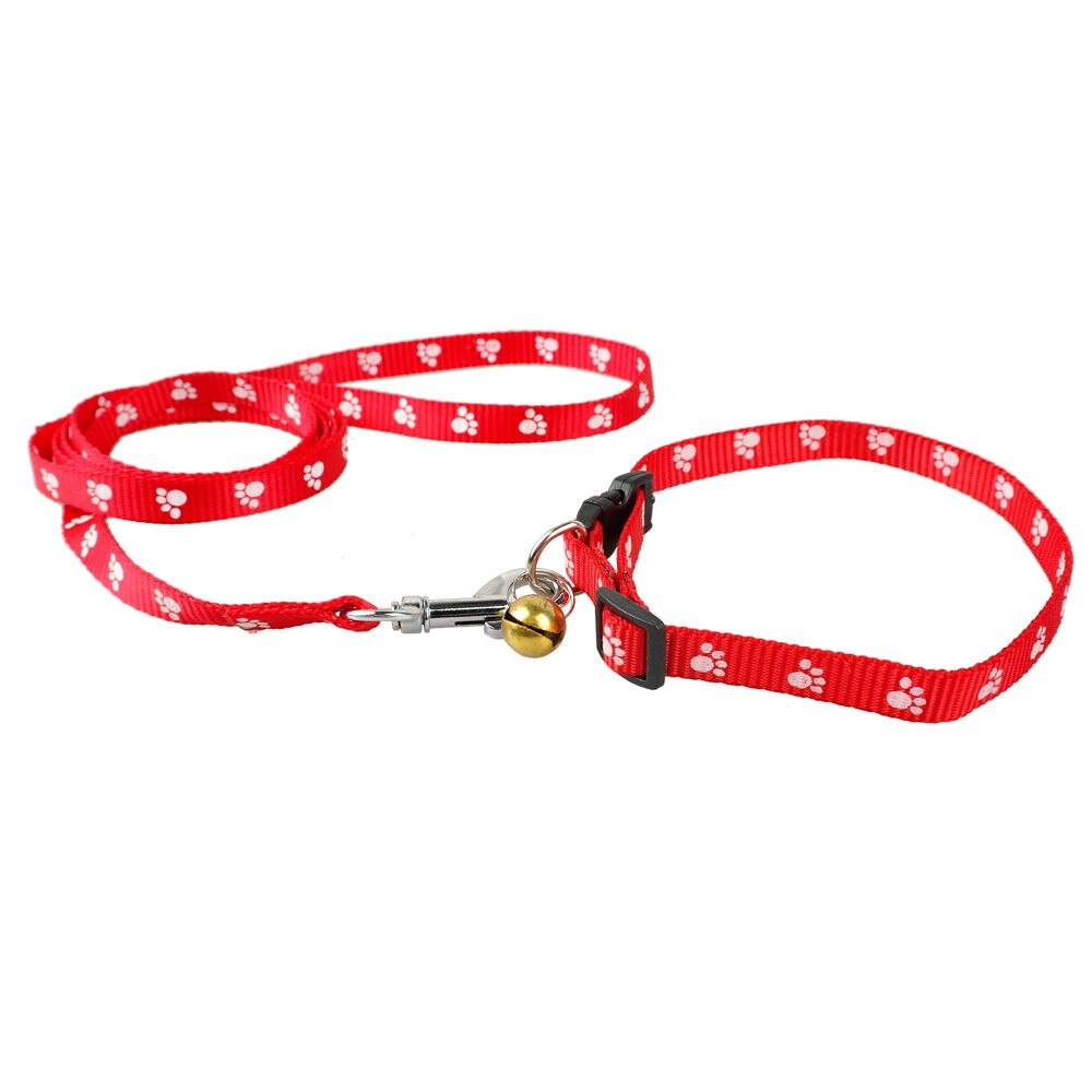 1.0 cm Nylon Kleine Hond Puppy Kraag en Lood Set Pootafdruk Leuke voor Yorkie Chihuahua: Rood