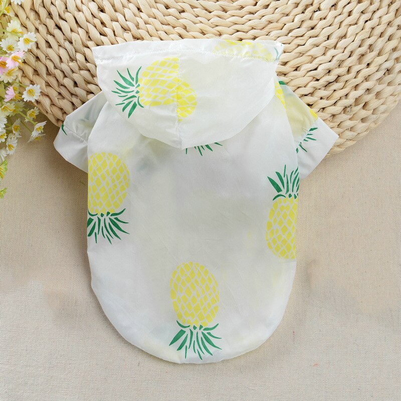 Pet Dog Sun Protection Clothing Colorful Fruits Print Sun-proof Puppy Cat Summer Outdoor Raincoat Sunscreen Clothes: C / XL