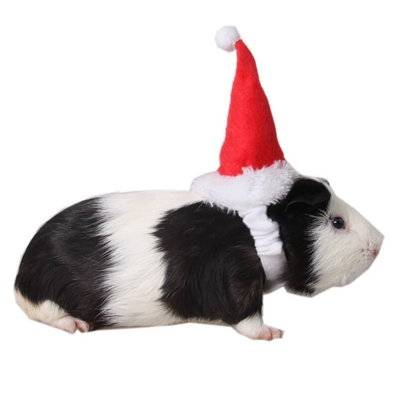 Små kæledyr julefestival dekorativt kostume hamster egern julemandshat med bånd