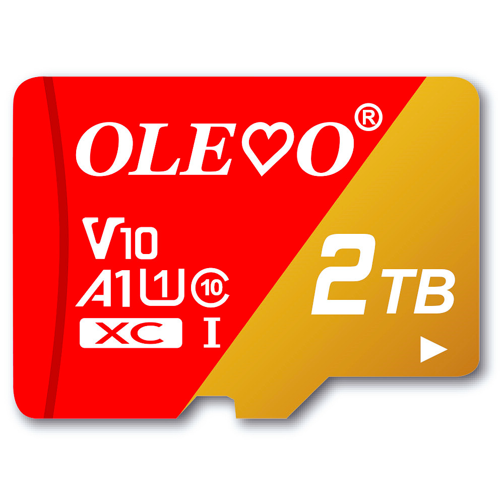 Mini SD Card 128gb 256gb High Speed Memory Cards 8GB 16GB 32GB 64GB Class 10 Storage Micro tf card for phone PC tablet MP4: 2 GB