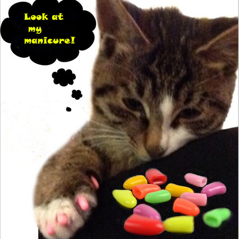 Cw009 nagelkapjes voor huisdieren, hond en kat, 20 stuks/partij, huisdier, kat, hond, nagel, vinger, verzorging, vloer, bescherming, klauwcontrole, zachte pootkapjes, maat xs, s, m, l