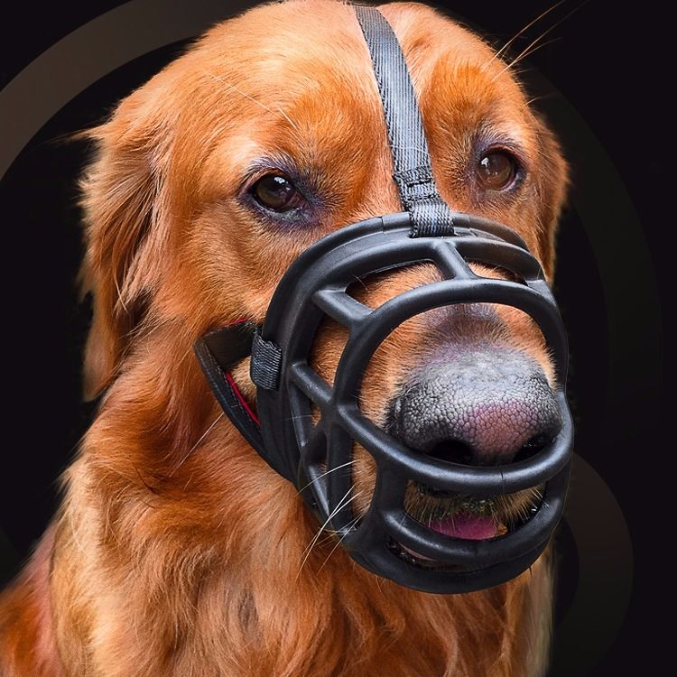 Verstelbare Ademend Masker Pu Leer Hond Muilkorf Anti Bark Bite Chew Veiligheid Voor Kleine Grote Honden Mond Zachte Training e11443