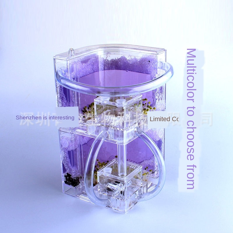 Double layer DIY Acrylic Ant Farm Underground Ant Nest Ant House with Feeding Area Pet Anthill Workshop Castle