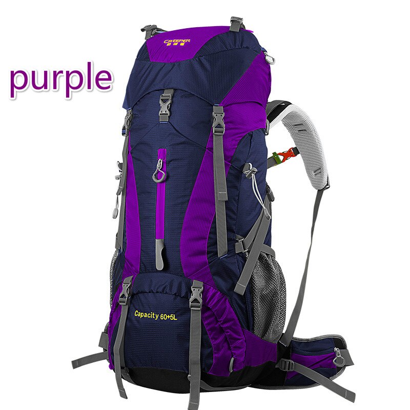 Creeper Impermeabile Professionale di Trasporto libero Zaino Telaio Interno Arrampicata Campeggio Trekking Zaino Alpinismo Bag 60 + 5L: Purple
