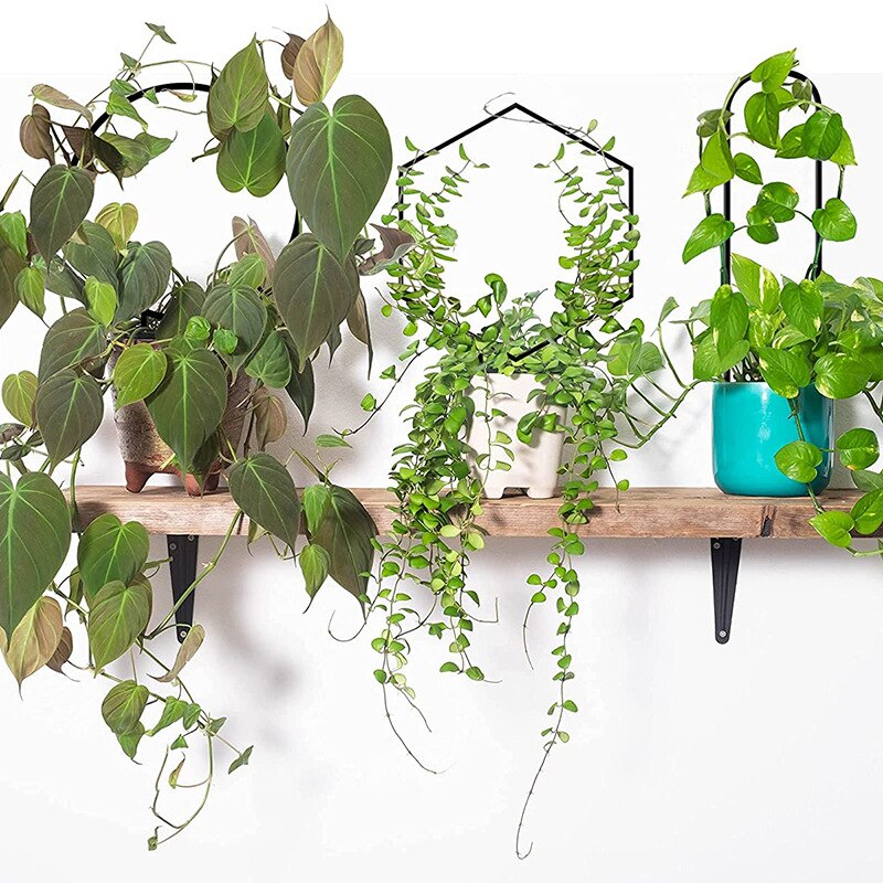 Metal Plant Trellis Support Wire Decorative Plants Climbing Holder Rack for Potted Plants Flowers Indoor PRE