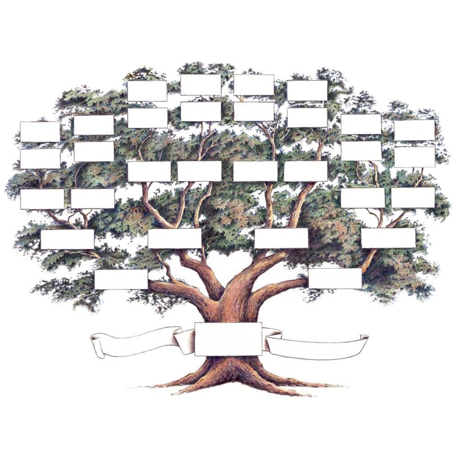 High Family Tree Diagram Handwritten Canvas Family History Wall Art Blank Chart For Diy