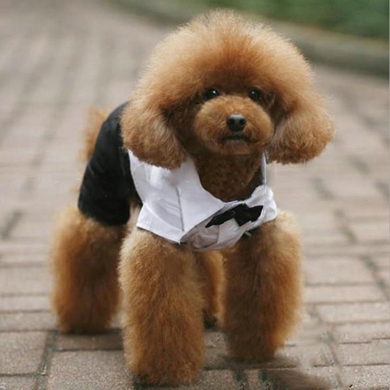 Ropa para perro y gato para perros pequeños, traje de esmoquin del Príncipe con pajarita, mono, abrigo, camisas de Chihuahua y Yorkshire
