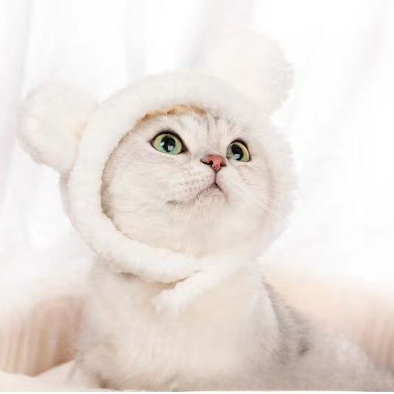 Lustiges Haustier-Stirnband, Plüschgarn, Katze, Hundekappe, Panda, Schwein, Haustier, warme Haustiermütze, KüKen, Cosplay, Zubehör, Kopfschmuck, Kostüm: Grün