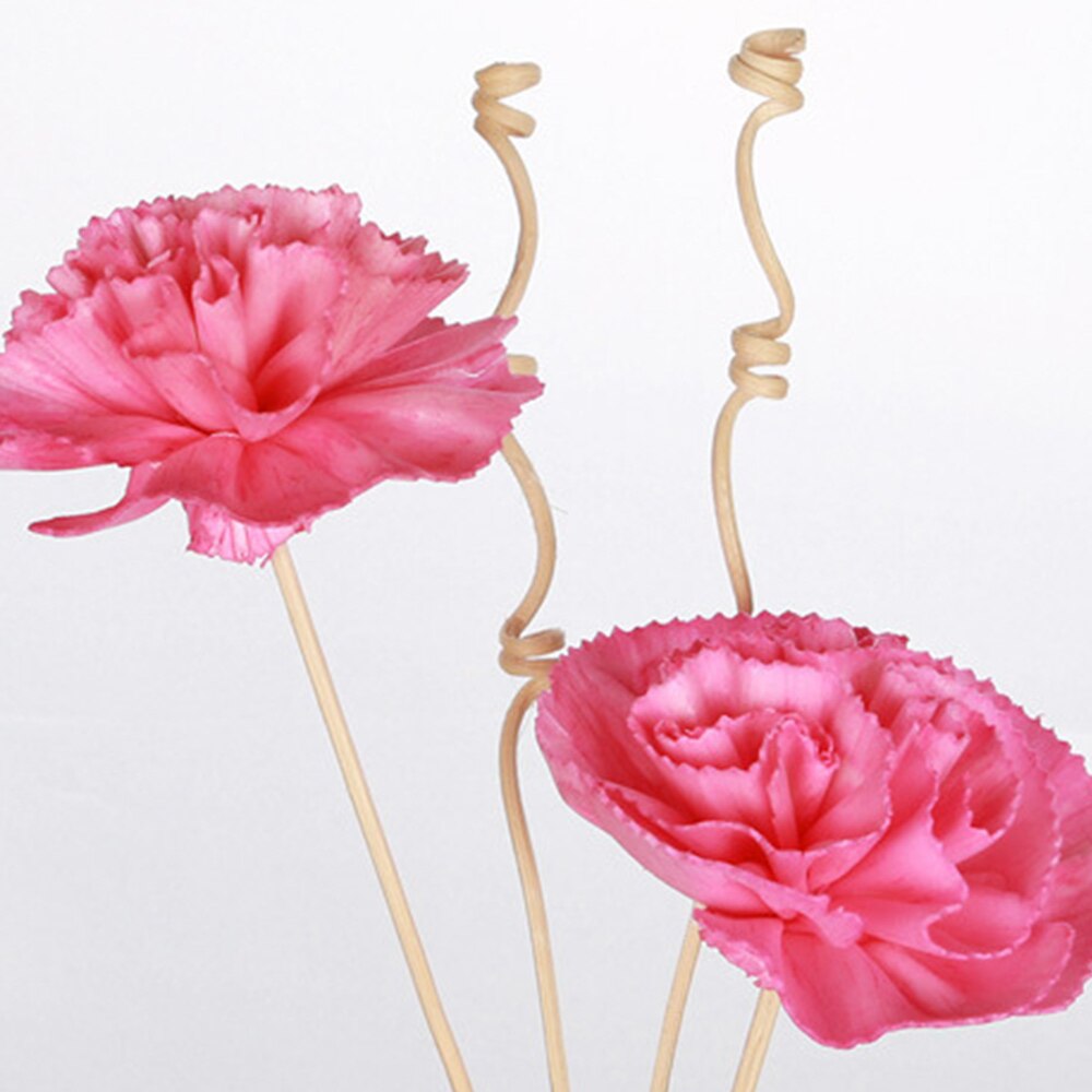5 Stks/set Kunstmatige Bloem Rotting Sticks Geur Diffuser Aroma Riet Olie Diffuser Refill Stok Diy Thuis Kamer Decoratie