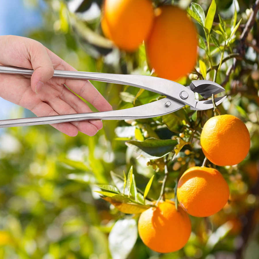 Tree Cutter 28cm Stainless Steel Branch Cutter Concave Cutter Bonsai Tools Garden Pruning Shears Cutting Tool
