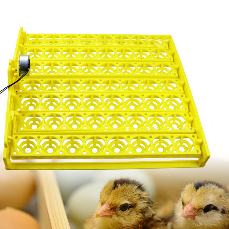 24/48/56 oeufs incubateur éclosoir Mini écloserie oeuf incubateur éclosoir automatique tour plastique incubateur plateaux incubateur équipement