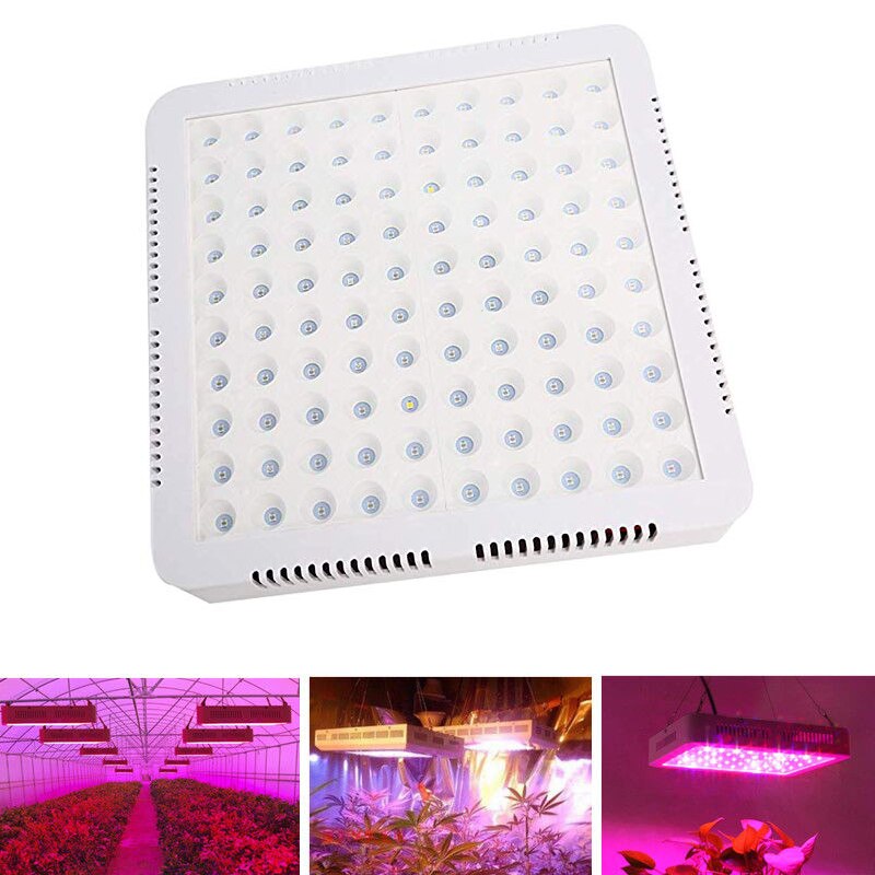 2000 W Led Licht Groeien Kits Full Spectrum Ir Voor Bloem Plant Medische Led Grow Light Hydrocultuur Teeltsysteem Eu plug