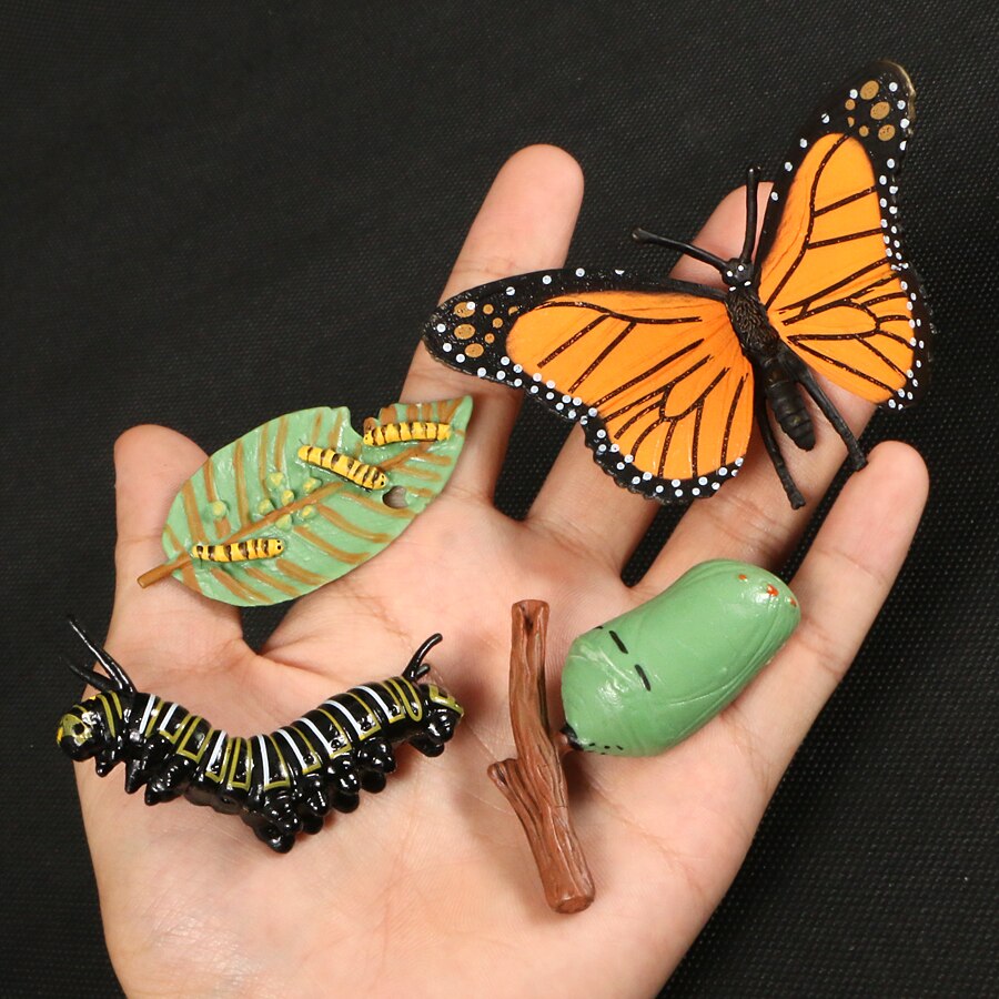 Butterfly Growth Cycle Bee Ladybug Spider Life Cycle Models Simulation Animal Model Action Figures Teaching Material For Kid: Butterfly 4pcs set