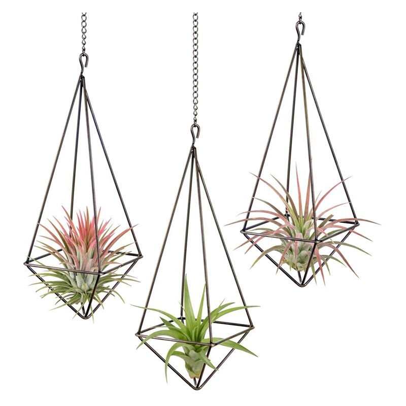 3 pakke hængende luftplanteholder geometrisk planter luftplantestativ tillandsia bøjle med kæde til boligindretning: Default Title