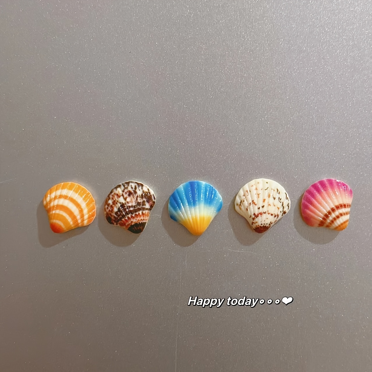 5 stuks, schattige schelp koelkastmagneten, kust schelp koelkastmagneten, sterke decoratieve magnetische stickers voor keuken: Default Title