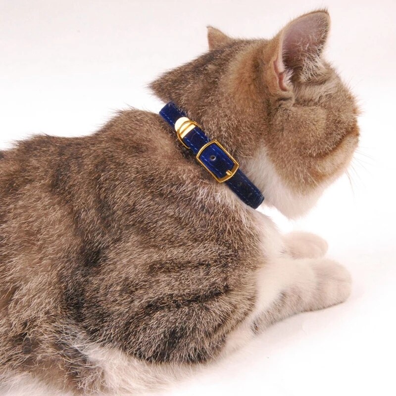 Kat Halsband Voor Katten Kleine Honden Kittens Pure Kleur Verstelbare Huisdier Kraag Chihuahua Producten Huisdier Accessoires