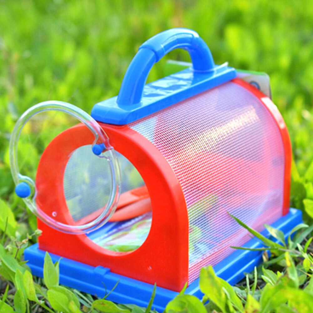 Cage à insectes pour animaux de compagnie, petit étui d'observation pour enfants, Cage d'expérimentation d'alimentation pour insectes, pour vers à soie