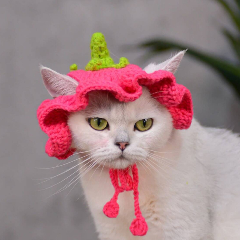 Sombrero de flores, sombrero de ganchillo para gato, perro pequeño, sombrero de berenjena de ganchillo, patrón para gatos y perros, ropa para gatos, accesorios para gatos, traje para mascotas: S / Rosa