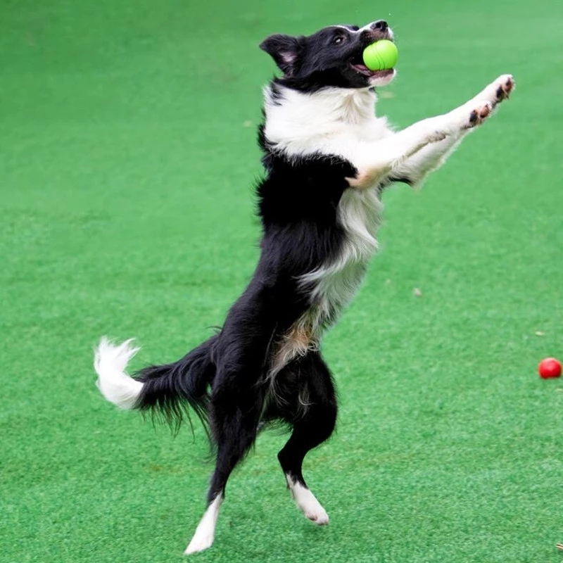 Dog Toys Ball Pet Dog Bouncy Rubber Solid Ball Resistance To Chew Toys Outdoor Throwing Recovery Training for Dogs