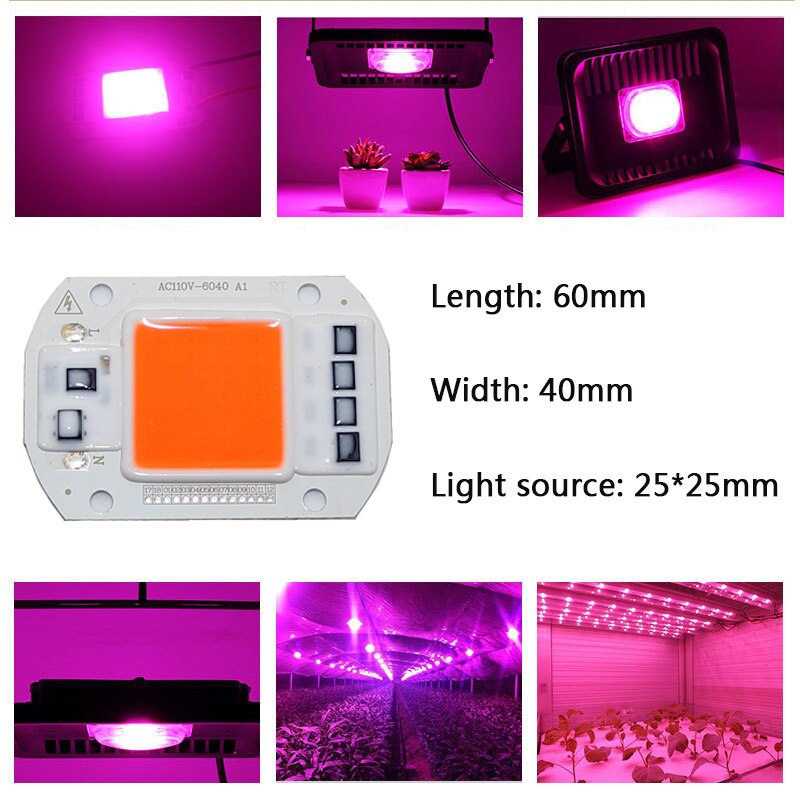 AC110V 220V Cob Led Chip Phyto Lamp Volledige Spectrum 20W 30W 50W Led Diode Kweeklampen fitolampy Voor Zaailingen Indoor