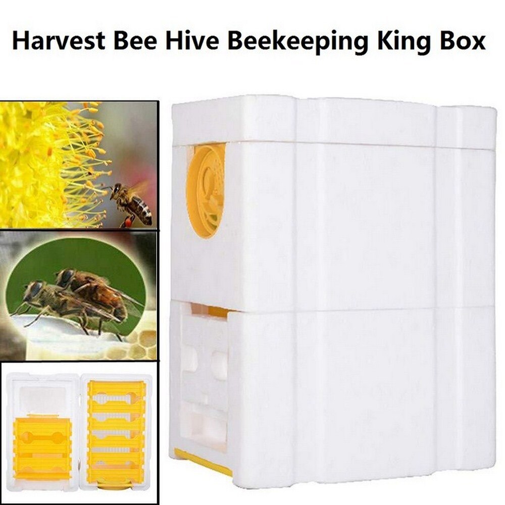 Double Bees Mating Foam Box Beekeeping Tool Foam Beehive Bee Tailing Box Foam Breeding Box Pollination Box Harvest Bee Hive