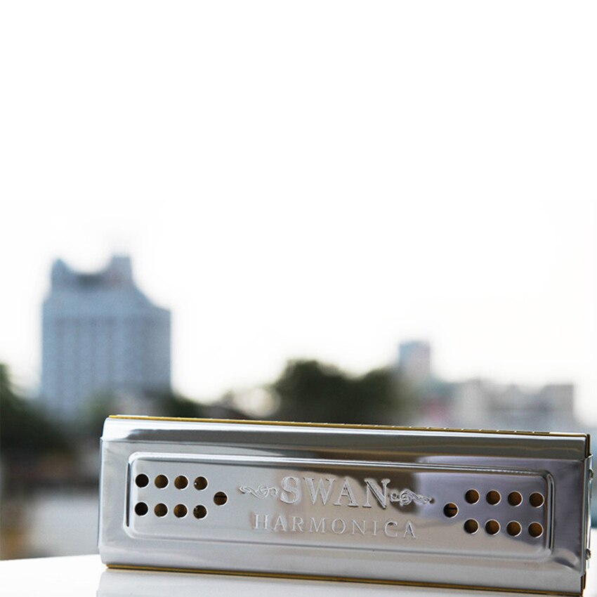 Swan Harmonica Double Tone 24 Double Holes Tremolo C & G Key Mouth Organ Wind Musical Instrument Kids & Adult