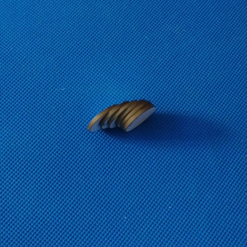 Disques en céramique piézoélectrique ultrasonique, 20x2.07mm, cristaux PZT, élément, Instrument de beauté, émetteur de puces