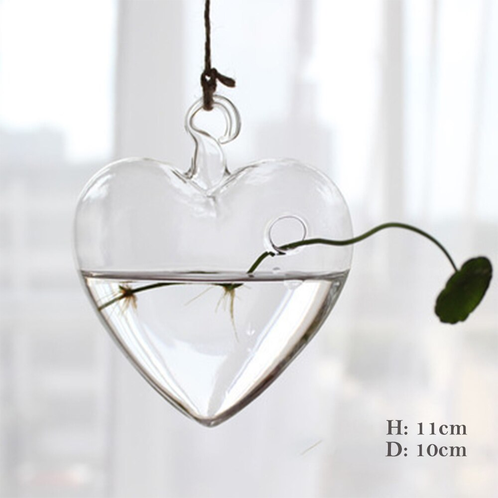 1Pcs Hanging Glass Vase Transparent Hydroponic Container Terrarium Flower Plant Pot Garden Home Wedding Decoration: 16