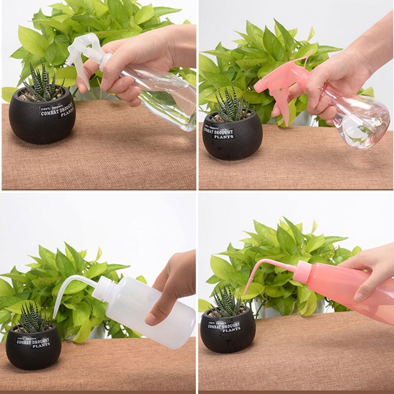 Bonsai Zaad Vetplant Planten Tool Set Bloem Raisin... Grandado