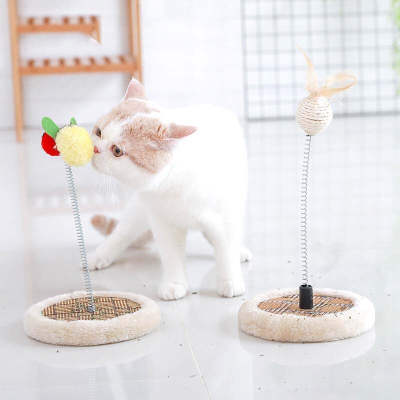 Kjæledyr katt kattunge voksen katt sommer kul liten katt benk katt leke kjæledyr katt enkel skive kul morsom katt benk katter produkter for kjæledyr