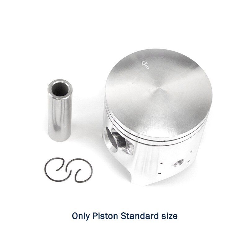 STD Oversize +25 +50 +75 +100 Motorcycle Piston and Ring Kit For Kawasaki KDX200 KDX 200 66mm 66.25mm 66.5mm 66.75mm 67mm 200cc: STD Piston
