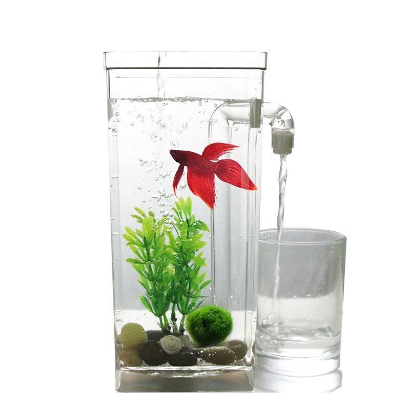 Mini Aquarium à poissons Simple autonettoyant, petit Aquarium Transparent en acrylique avec filtre à poisson rouge sans eau